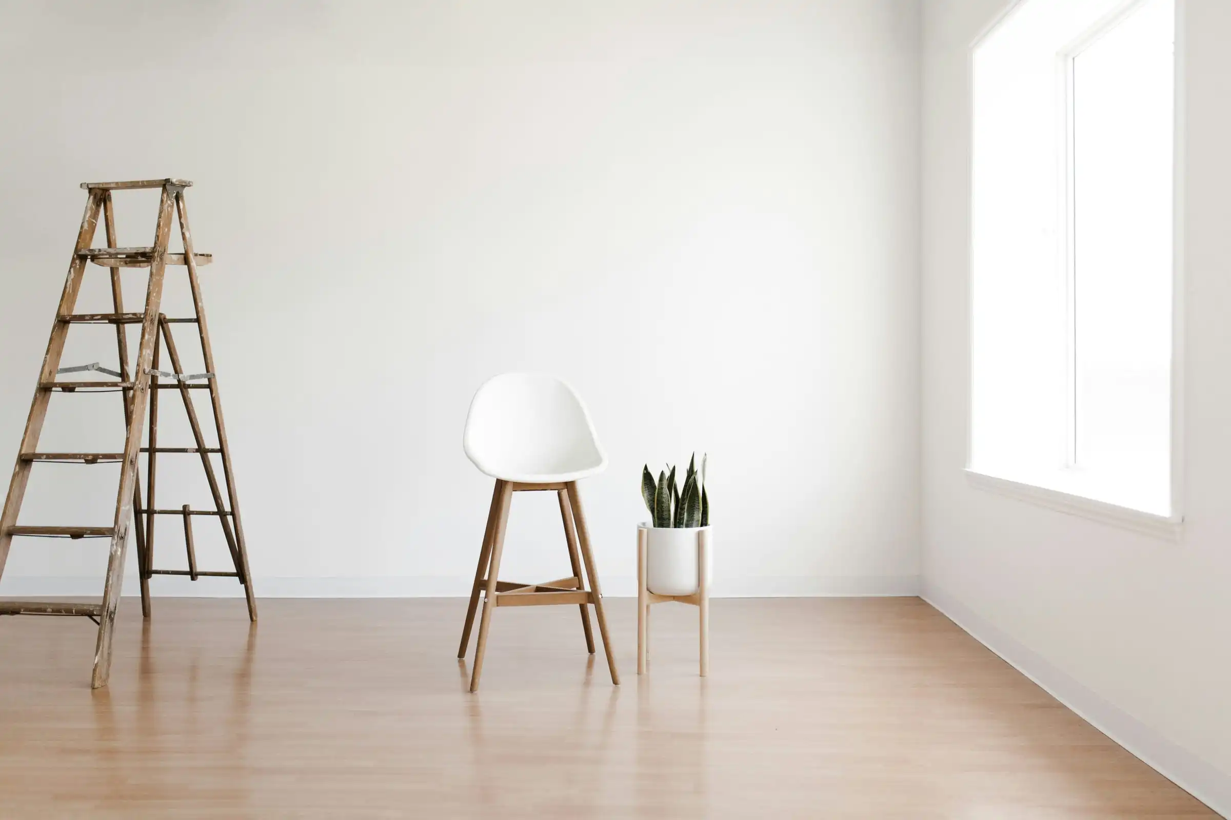 An empty white room with a timber stepladder, a stool and a pot plant, ready to paint