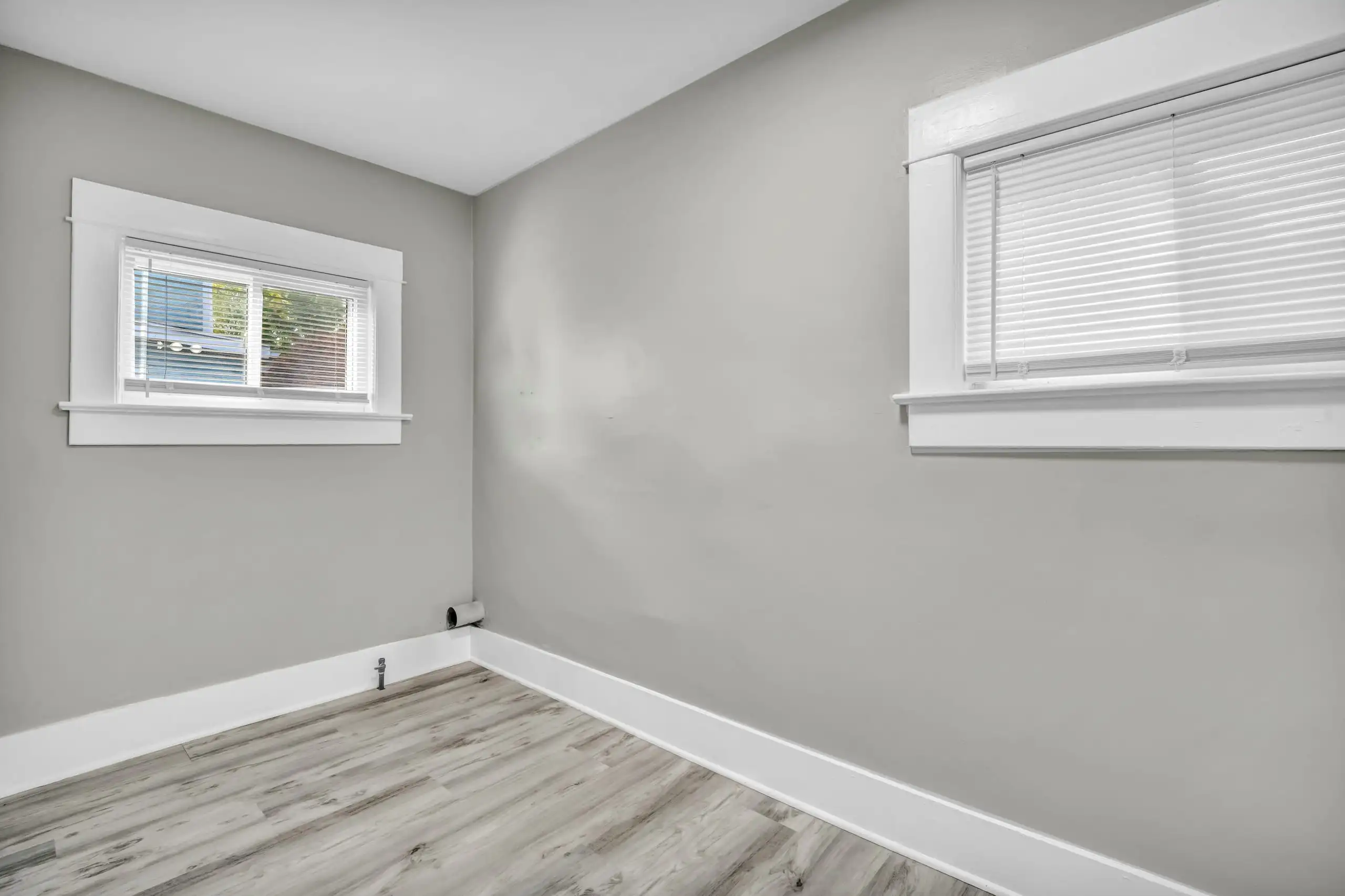 An empty room with fresh grey walls, white window frames and a timber-look floor