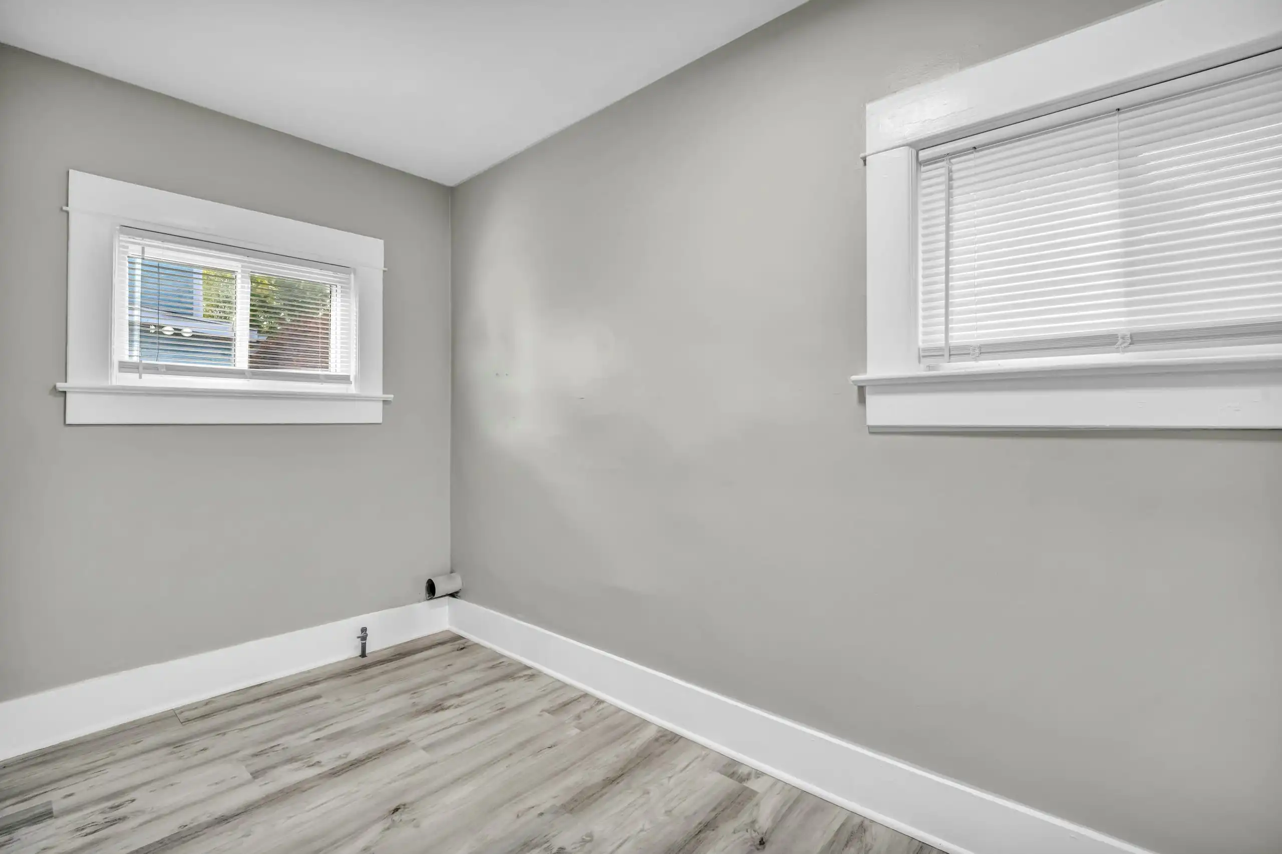 An empty room with fresh grey walls, white window frames and a timber-look floor